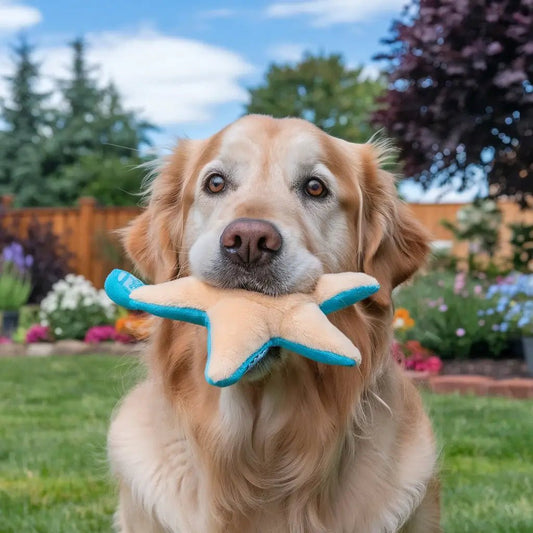 What Makes Dog Toys Squeak? Unveiling the Mystery of the Sound