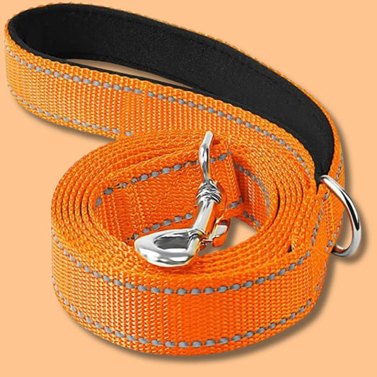 dog leash