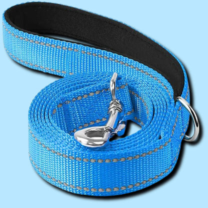 dog leash belt