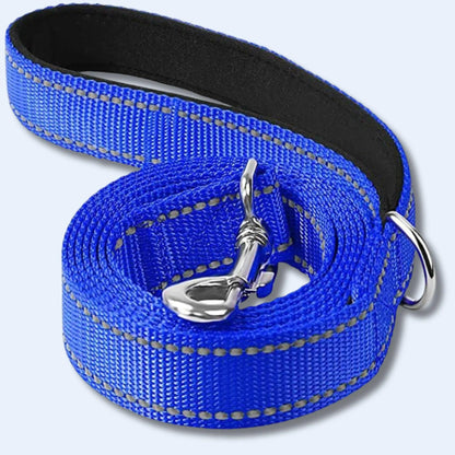 dog leash and collar