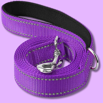 dog leash to stop pulling