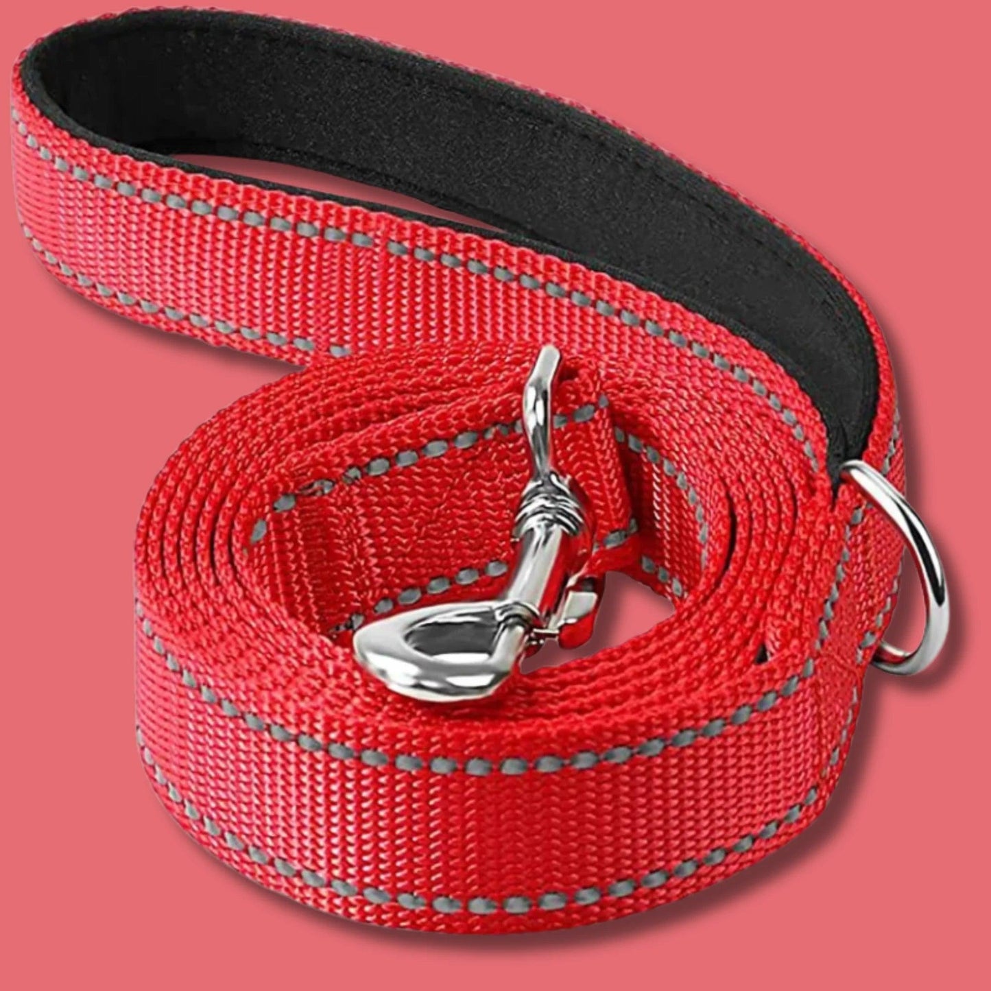 dog leash to prevent pulling