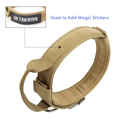 why use dog training collar