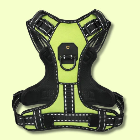 which dog harness is best