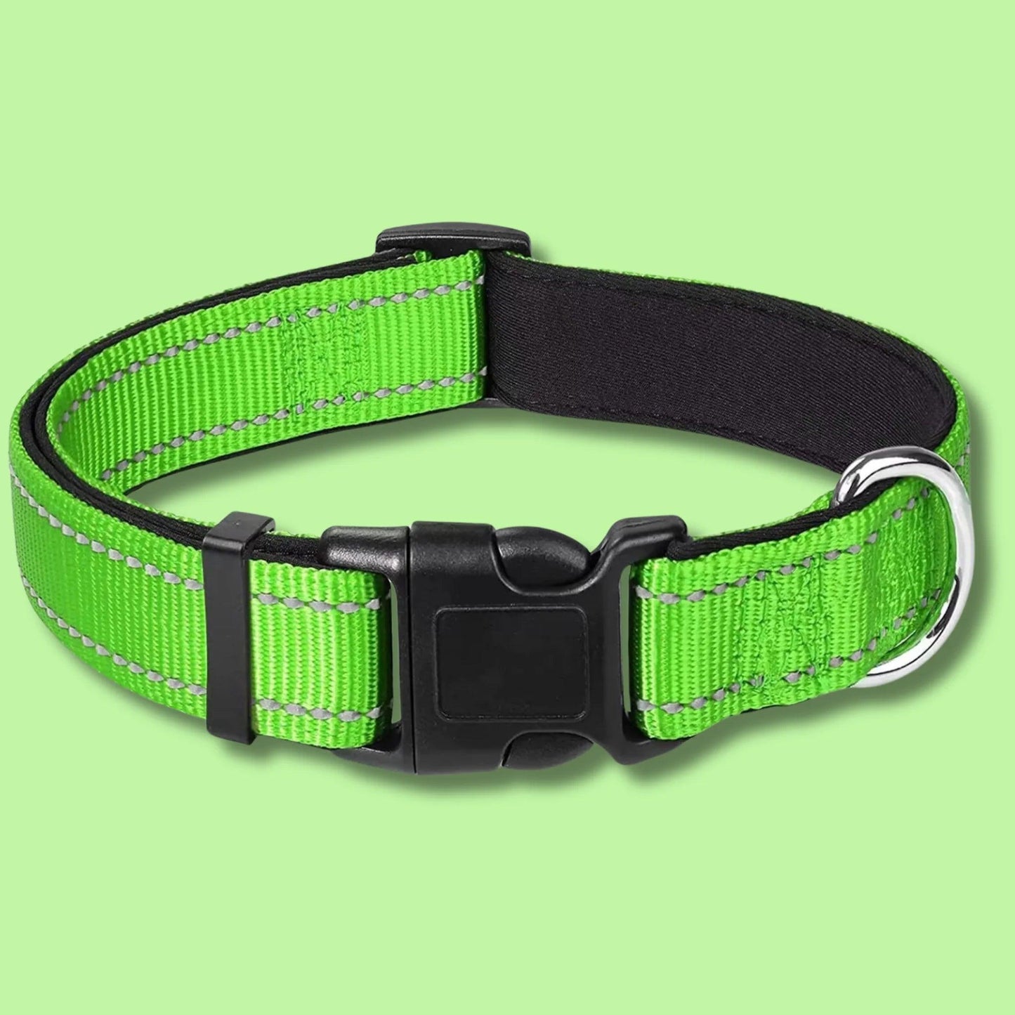 dog collar near me