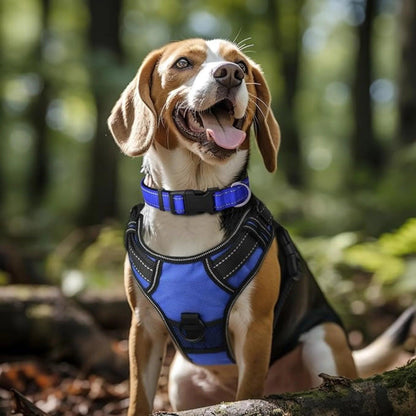 dog collar and harness set