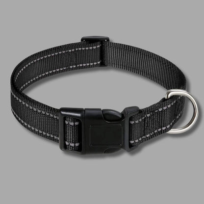 dog collar or