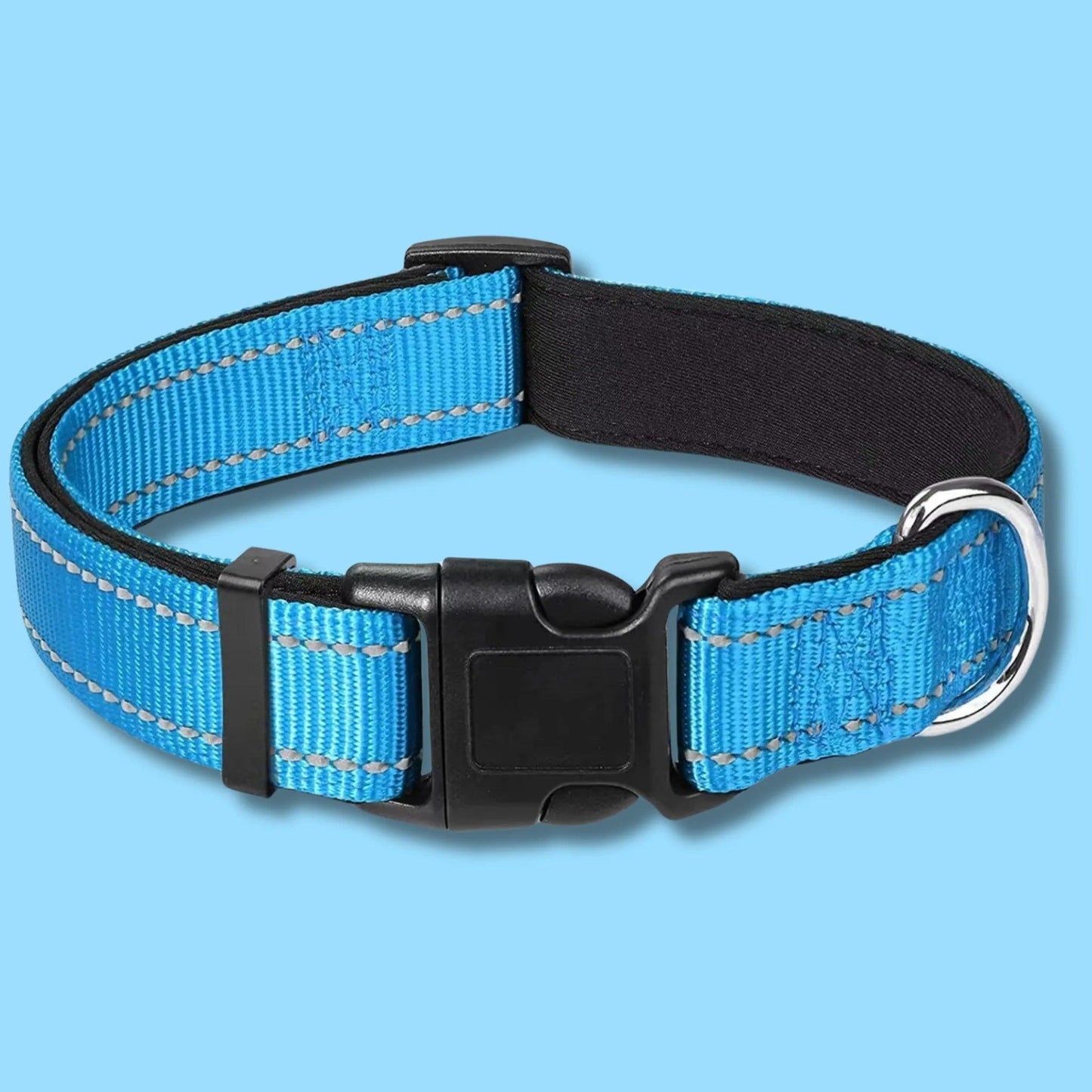 dog collar and leash