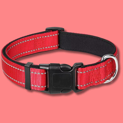 dog collar like lady and the tramp