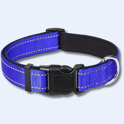 dog collar without buckle