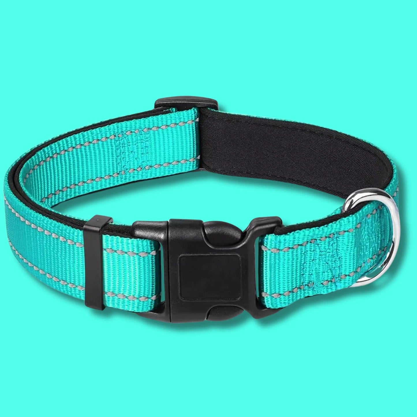 dog collar and leash set